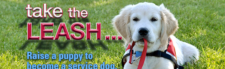 Close-up of banner stand design with puppy holding leash in mouth and text: take the LEASH